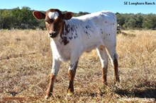 SEL REB'S AWESOME KISS