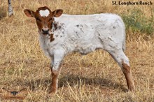 SEL REB'S AWESOME KISS