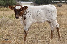 SEL REB'S AWESOME KISS