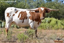 SEL IMPERESSIVE GLORY