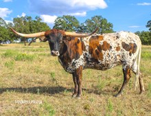 Abby's Right As Rain